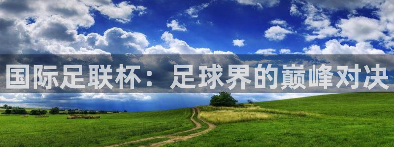Vsport体育官网:国际足联杯:足球界的巅峰对决