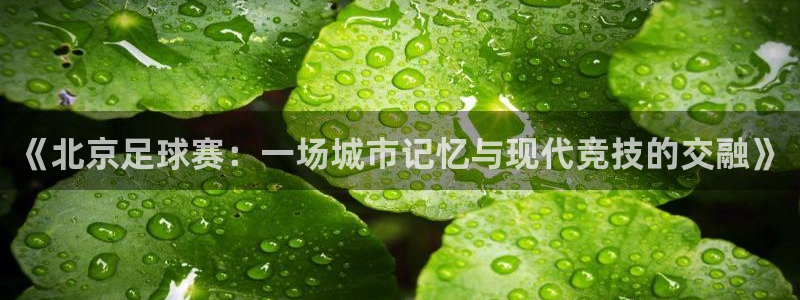  哈哈体育体育官网入口：《北京足球赛：一场城市记忆与现代竞技的