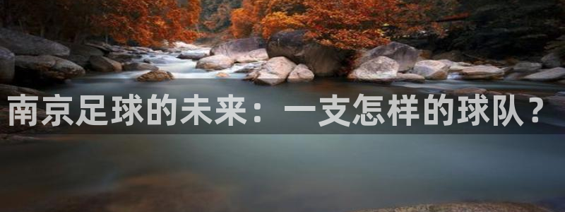 vsport体育阿根廷：南京足球的未来：一支怎样的球队？