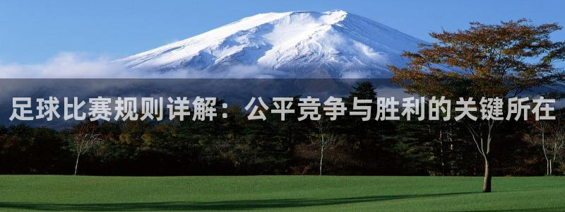 Vsport体育官方网站入口：足球比赛规则详解：公平竞争与胜