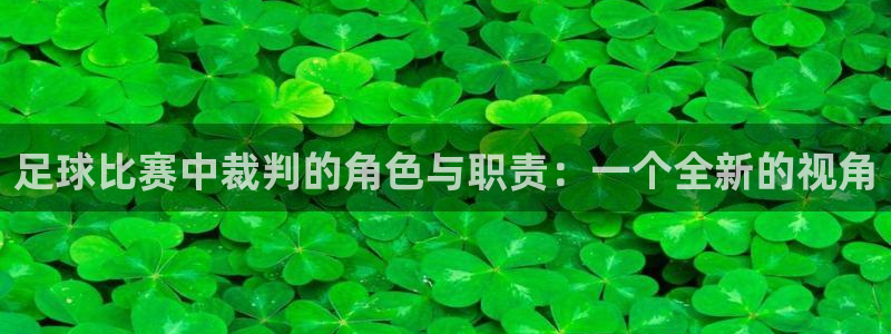  vSport体育app最新版本更新内容：足球比赛中裁判的角色