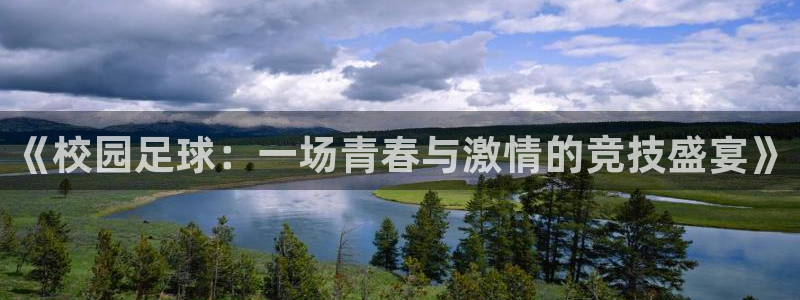  Vsport体育官方网站入口：《校园足球：一场青春与激情的竞