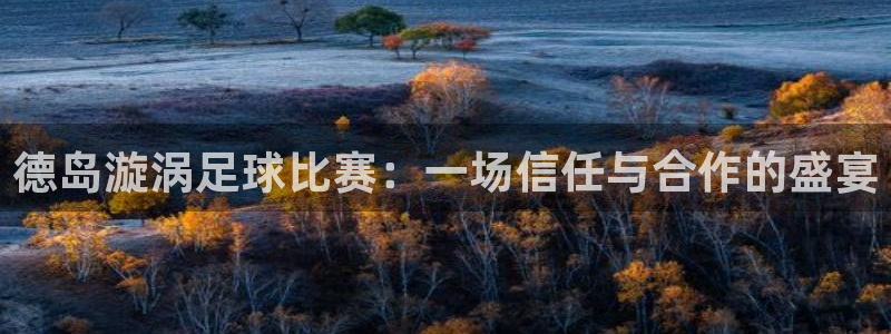 哈哈体育体育官网入口：德岛漩涡足球比赛：一场信任与合作的盛宴