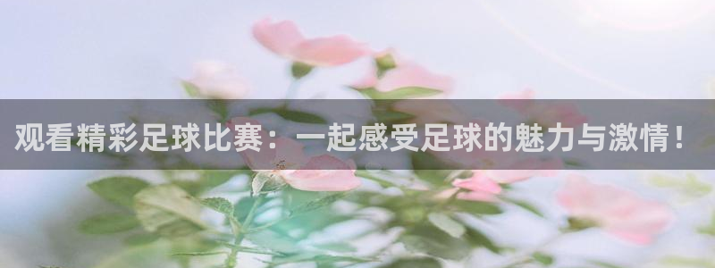 vsport体育在线官网阿根廷：观看精彩足球比赛：一起感受足