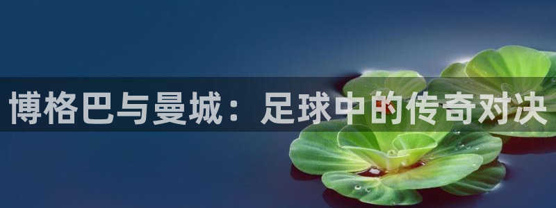  vsport体育平台app：博格巴与曼城：足球中的传奇对决