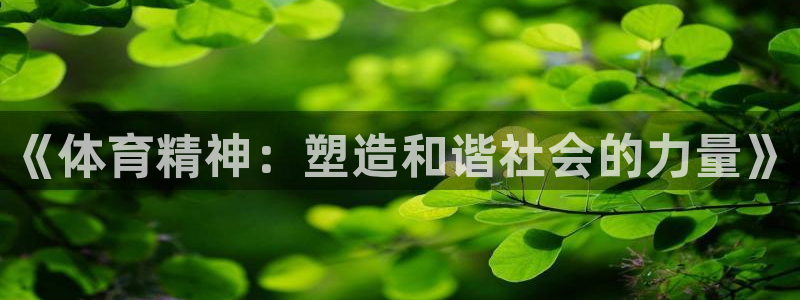 oety欧亿：《体育精神：塑造和谐社会的力量》