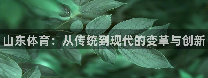 oety欧亿：山东体育：从传统到现代的变革与创新
