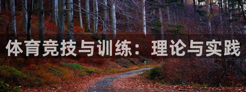 oety欧亿：体育竞技与训练：理论与实践