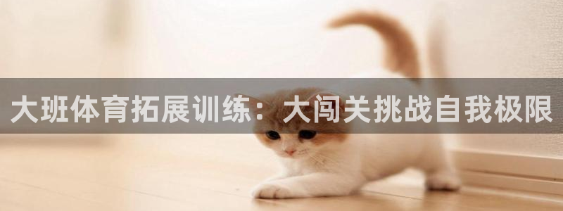 oety欧亿：大班体育拓展训练：大闯关挑战自我极限
