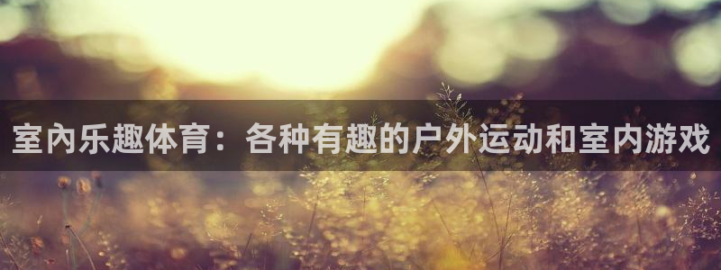 oety欧亿：室內乐趣体育：各种有趣的户外运动和室内游戏