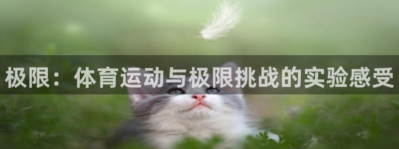 oety欧亿：极限：体育运动与极限挑战的实验感受