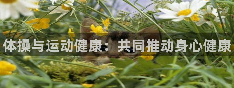 oety欧亿：体操与运动健康：共同推动身心健康