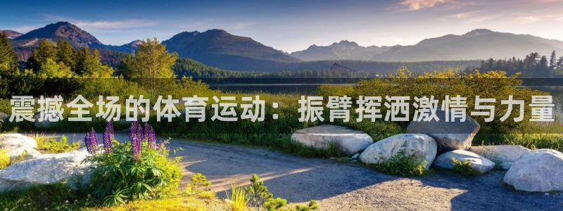 oety欧亿：震撼全场的体育运动：振臂挥洒激情与力量